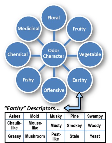 Odor Character Wheel