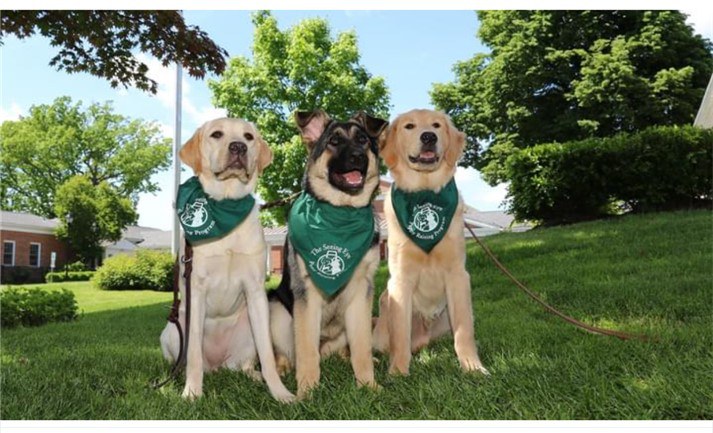Three Seeing Eye puppies sit shoulder-to-shoulder at the base of the flag pole on the main Seeing Eye Campus. From L to R: a Yellow Lab, German Shepherd, and a Golden Retriever