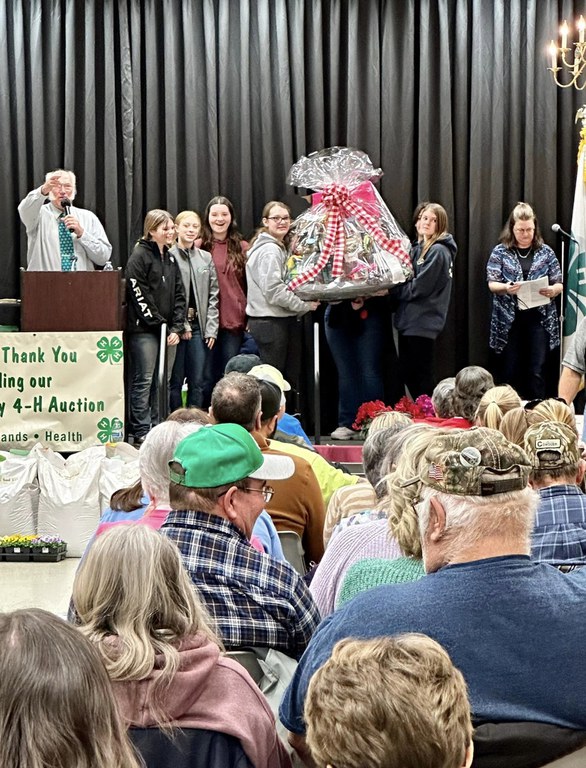 Everything But the Dog Basket Auction Item