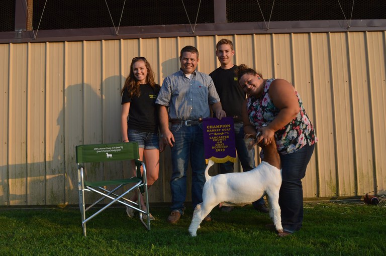 Grand Champion Market Goat