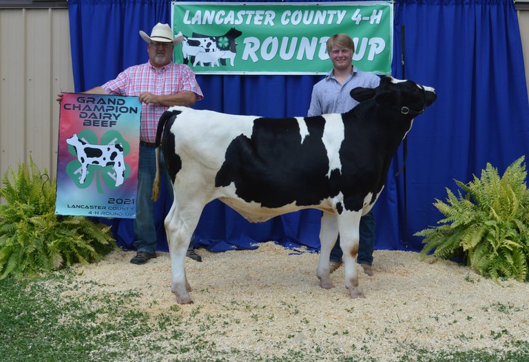 Grand Champion Dairy Beef - Trenton Martin