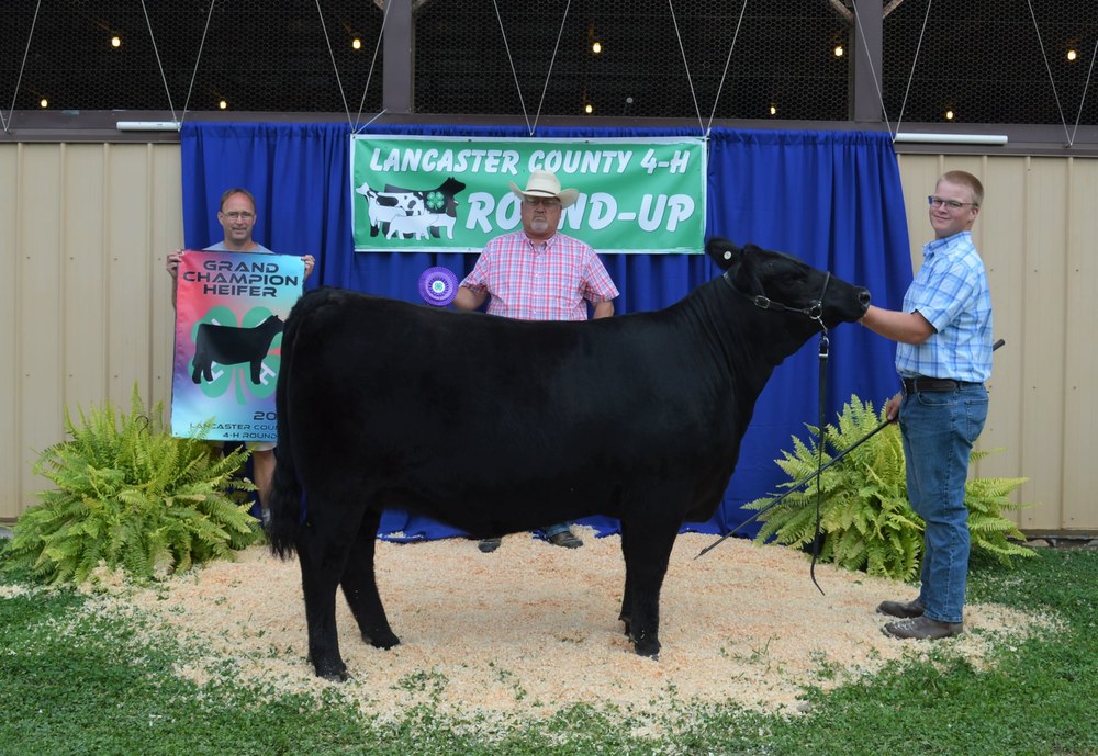 Grand Champion Heifer - Michael  Butz