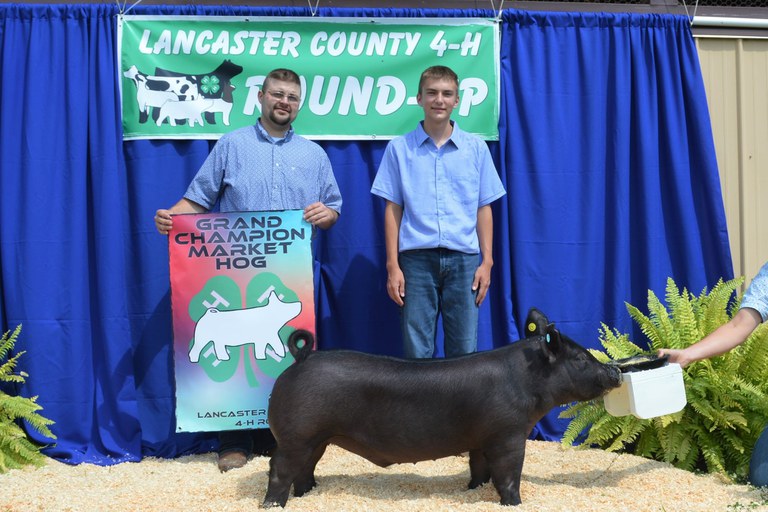 Grand Champion Market Hog - Tyler Zimmerman