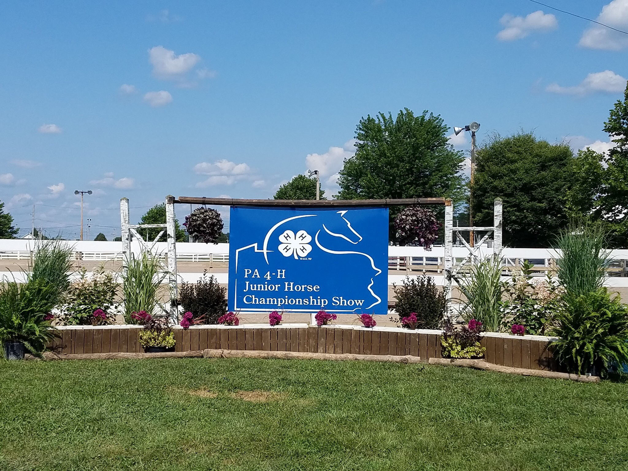 2019-pennsylvania-state-4-h-junior-horse-championship-show-news