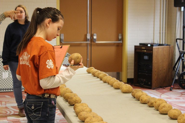 PA 4-H Youth participating in the 2020 4-H Potato Contest