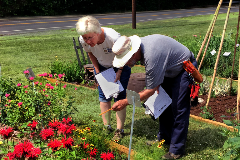 Master Gardeners collecting data for the Pollinator Preferences Program