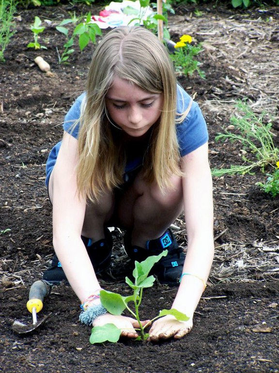 Cumberland County Youth Summer Gardening Camp