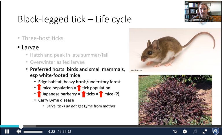 Diagnostic webinar on ticks and tick-borne diseases