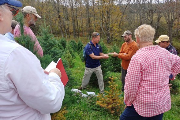 Conifer Identification class in Susquehanna County