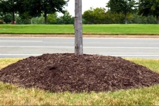 Avoid a mulch volcano!