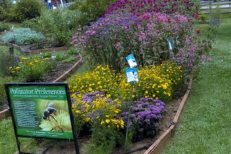 A small part of the Trial Gardens, photo credit:  Martie Young