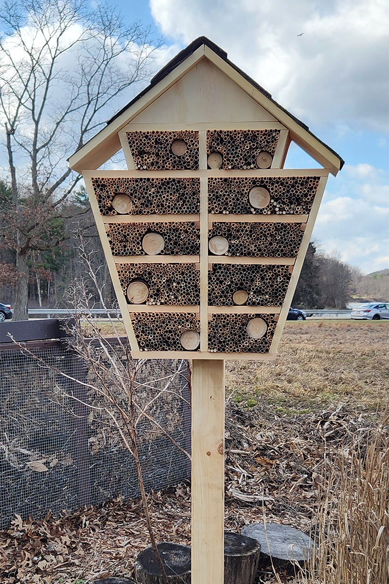 North Park Pollinator Gardens Bee house