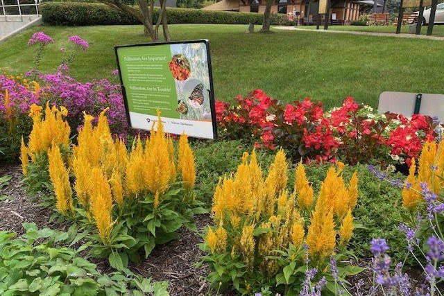 The demonstration garden at the Beaver Station educates the public about pollinators.