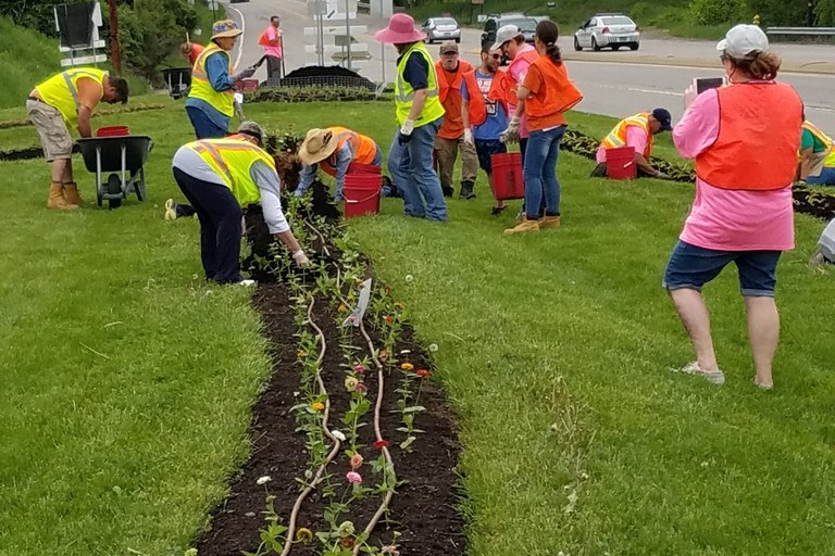 Penn State Master Gardeners as well as corporate and community volunteers working together on planting day.