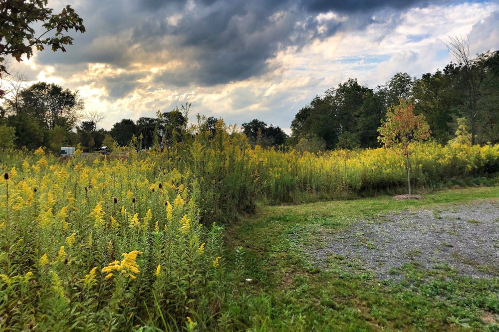 NatureWorks Park in the Fall