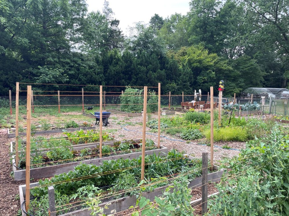 Children's Garden at Snipes Farm and Education Center Snipes Childrens Garden; Photo credit Bill Ahlborn