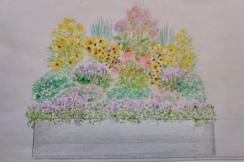 A sketch of the garden plan by Lynn Daddario