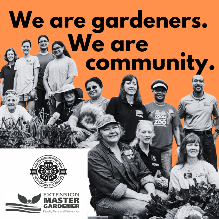 Photo of many Master Gardeners