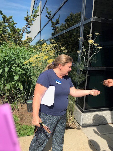 Master Gardener Talking about Herb Garden