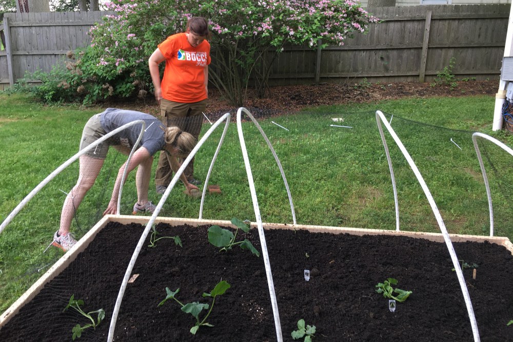 Raised Bed Construction