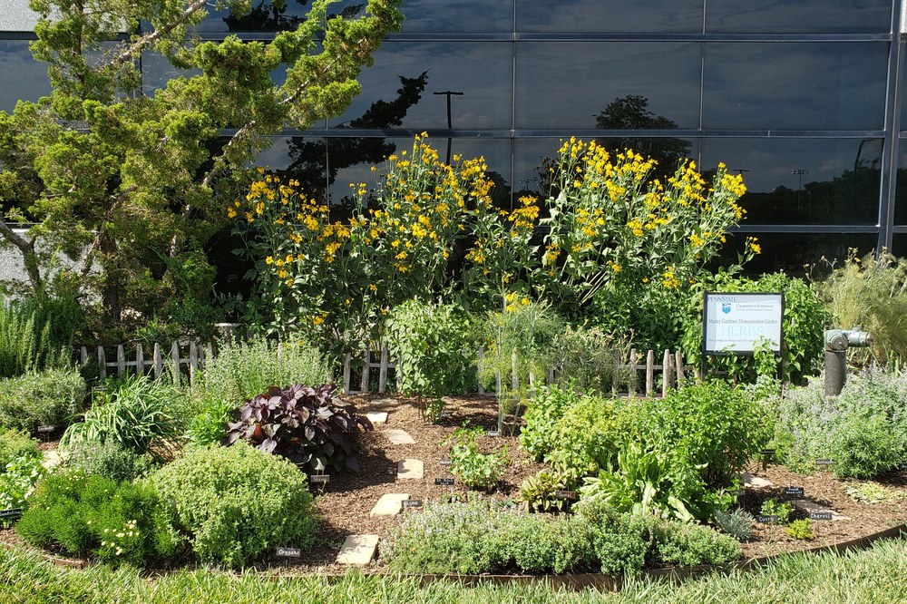 Herb Garden, one of the GSC Demonstration Gardens