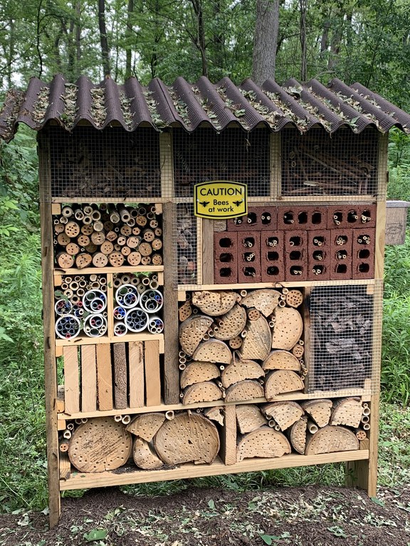 A "bee hotel" constructed by the authors.