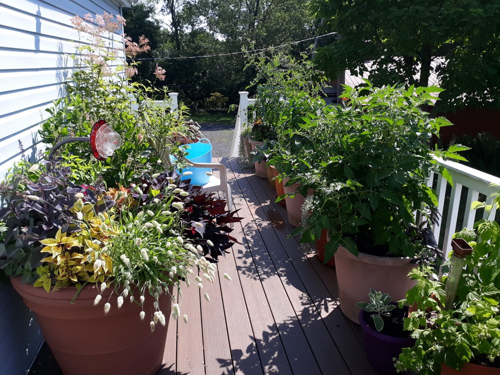 Announcing the 2025 Berwick Gardening Series Photo credit: Mary Jo R Gibson