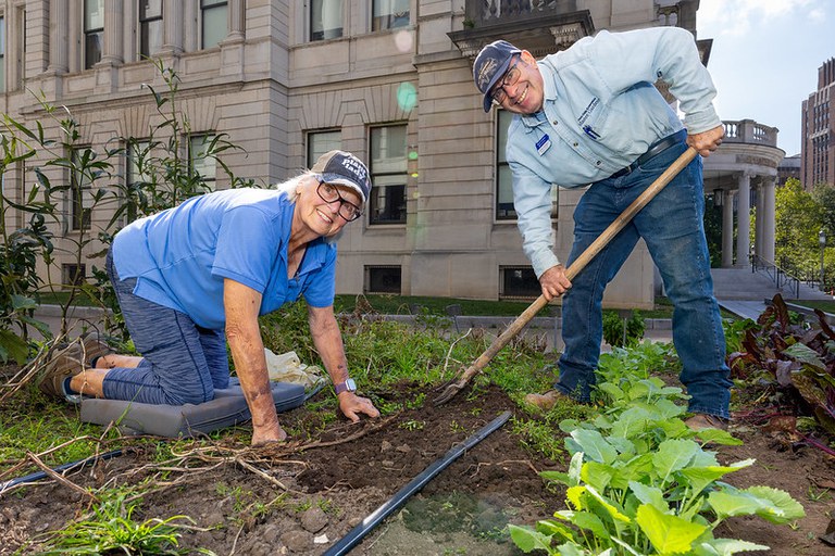 Harvesting potatoes from the Capitol Hunger Garden for donation to Downtown Daily Bread