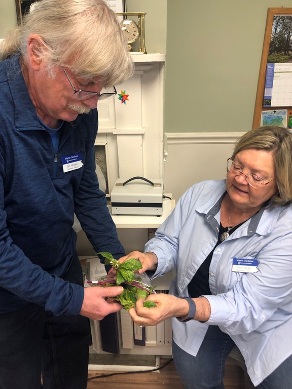 Our hortline volunteer staff identifying plant problem.
