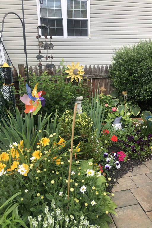 Cheerful DelCo garden boasts flowering daylilies, daisies, petunias, and more