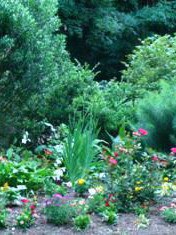 Terrace Garden