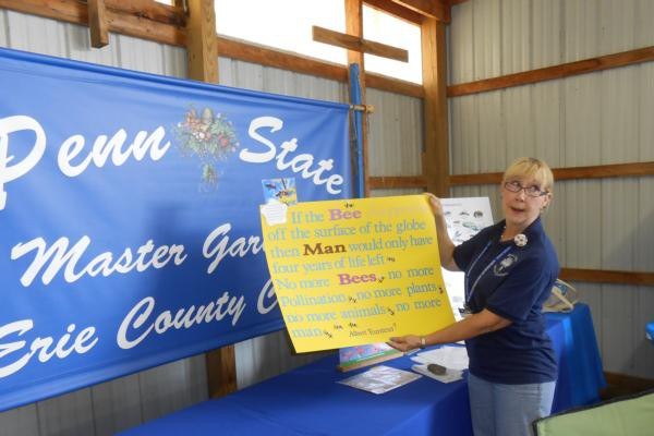 Lecture on Pollinators