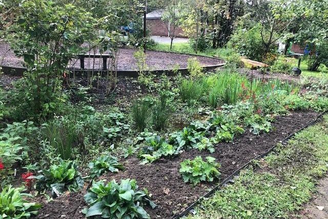 Demonstration rain garden at Ohiopyle. Photo Credit: Becky Ambrosini