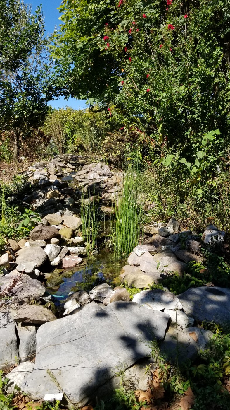 Woodland Native Habitat