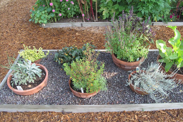 Part of the Raised Bed Garden