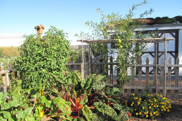 The Vegetable and Herb Garden