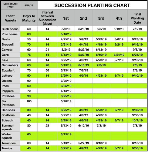 succession planting chart