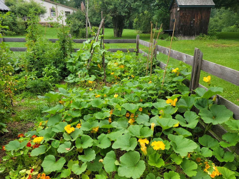 Crook Farm Heirloom Garden