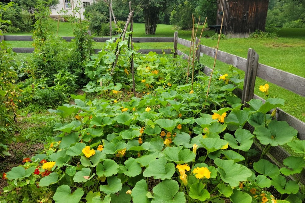 Crook Farm Heirloom Garden