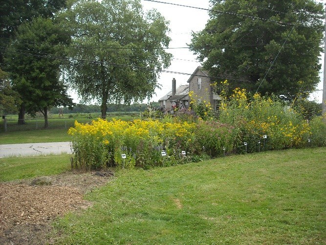 Demonstration Garden Penn State Extension Mercer County Master Gardeners Native Plant Garden