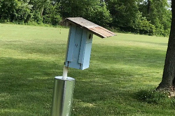 Figure 1. Nestbox with baffle. Photo: Darlaine Manning, Penn State Extension Master Gardener