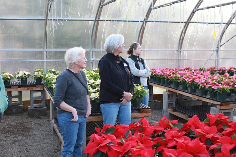 Master Gardeners appreciating beautiful poinsettias at Otto-Eldred High School.