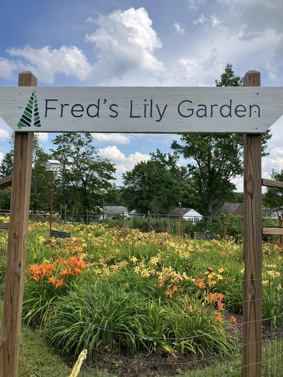 Entrance of Day Lily Garden