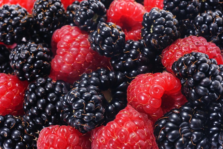 Raspberries and Blackberries (Pixaby.com)