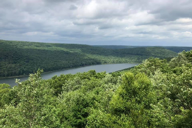 Arial shot of verdent Allegheny National Forest