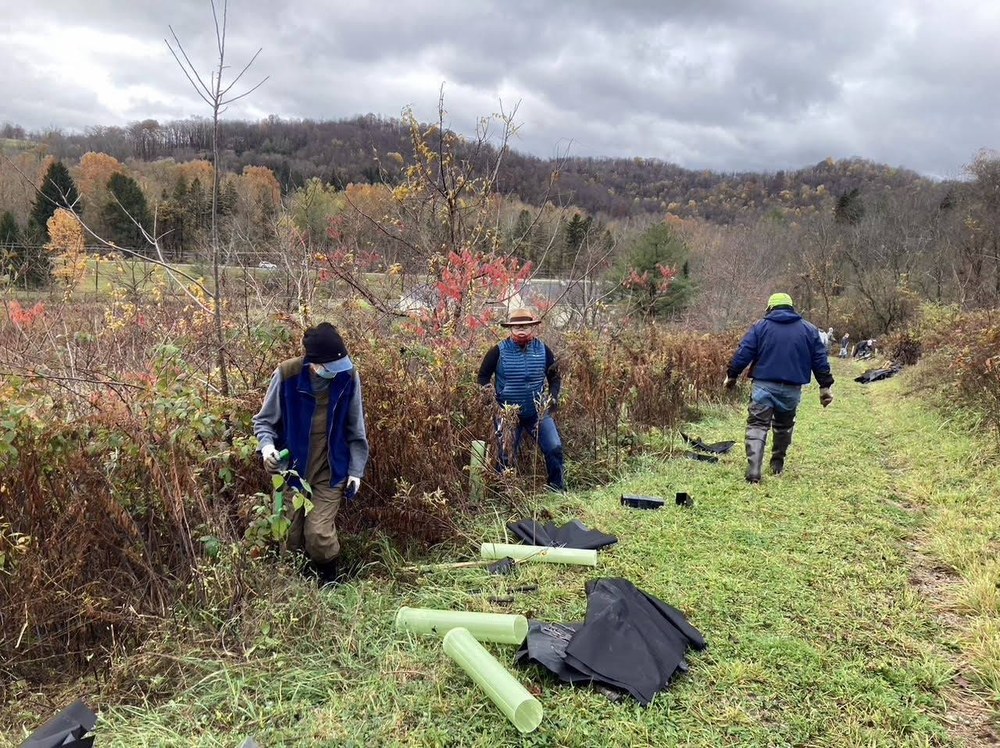 County Volunteer Organizations Help FirstEnergy Meet Goal of Planting 1000 Trees Photo credit: Deb Christopher, Penn State Extension Master Gardener
