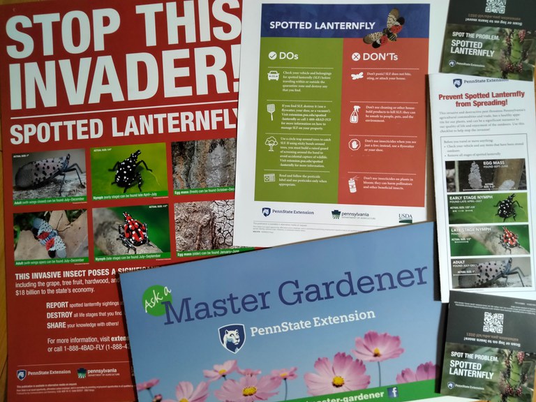 Spotted Lanternfly education materials. Photo credit: Melissa Wright