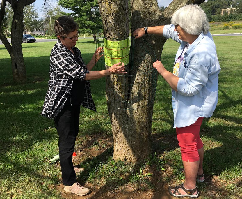 Jen and Julie Banding tree