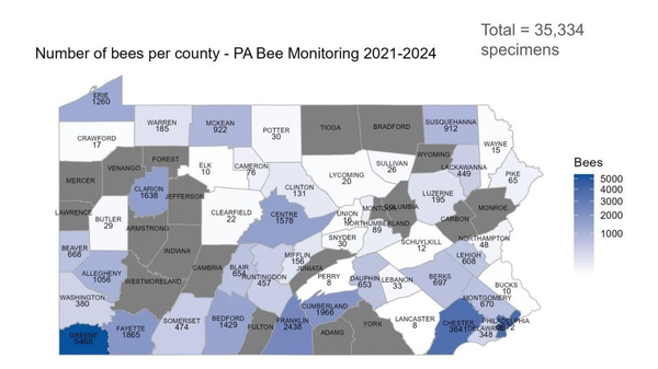 Map of Pennsylvania showing counties and the number of bee observations