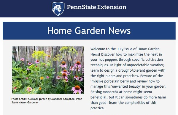 Screenshot of Home Garden Newsletter